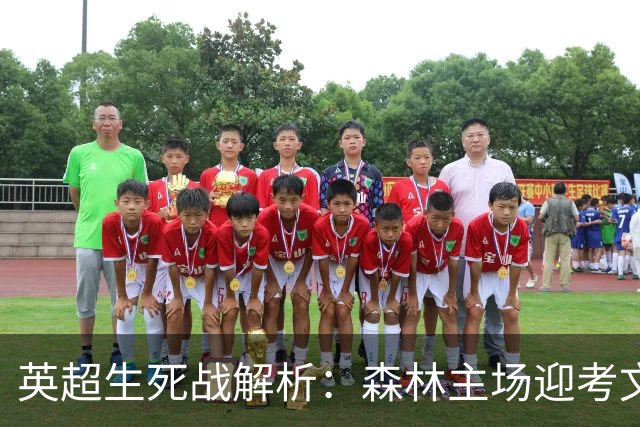 英超生死战解析：森林主场迎考文垂，积分差距下的战术博弈